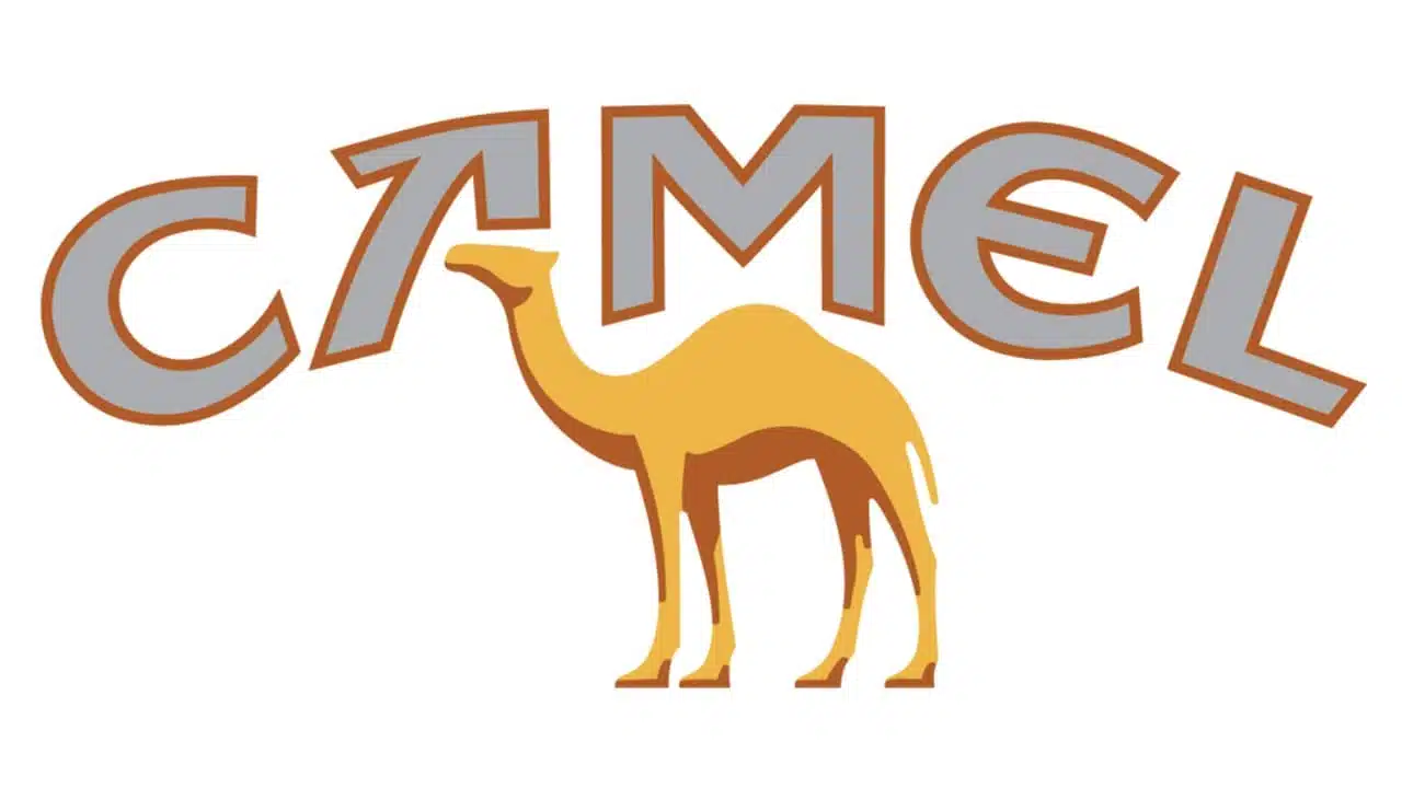 Camel Logo mit Kamel