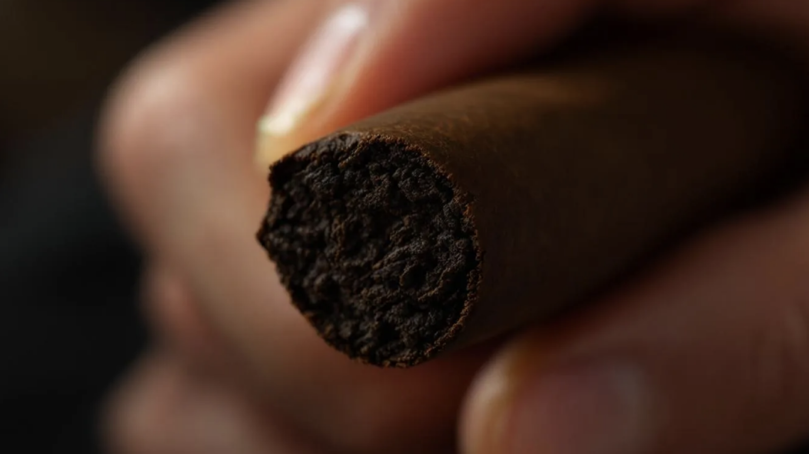 Moods Zigarillo Close-up Shot