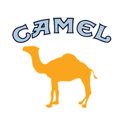 Camel Camel