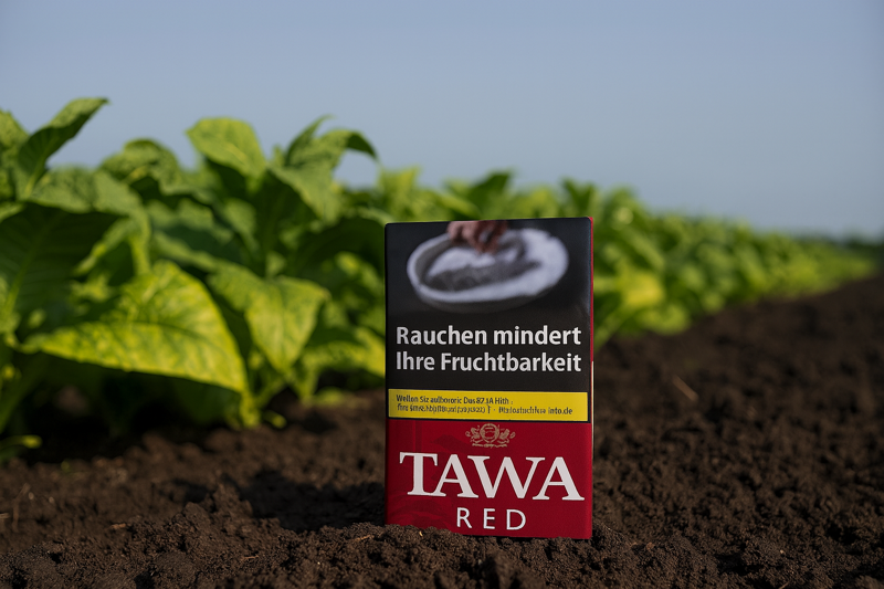 Tawak Tabak Packung in einem Tabakfeld mit Tabakpflanzen im Hintergrund
